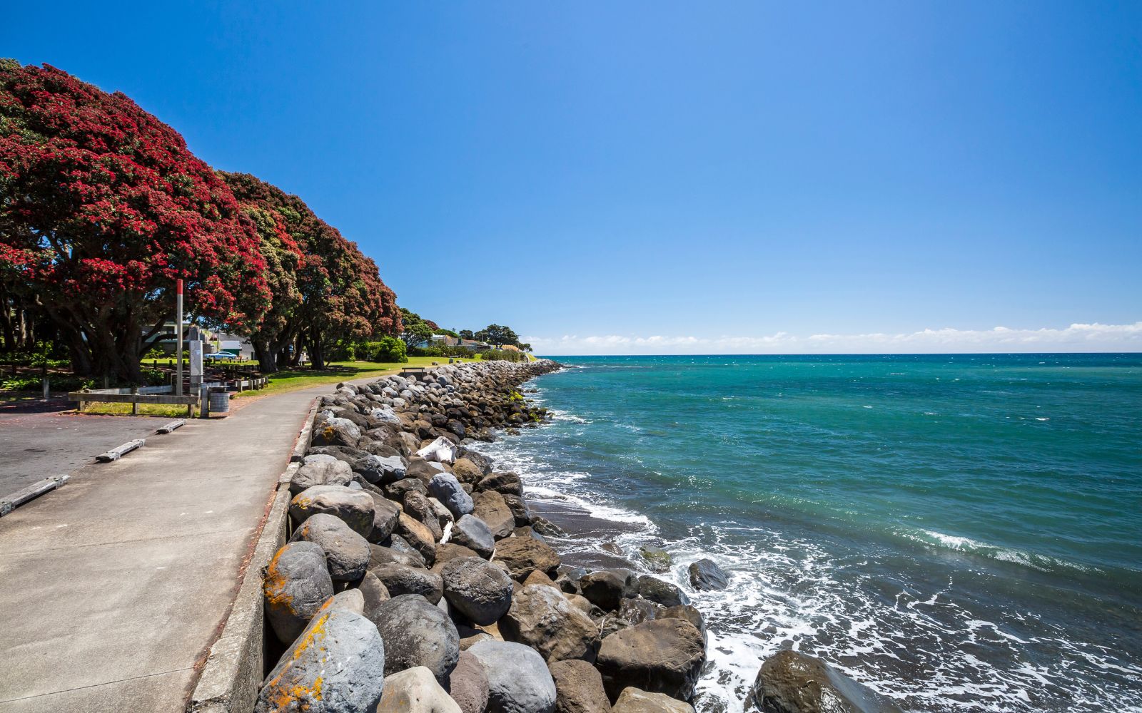 Northern coastal shoreline and open sea