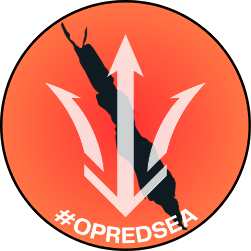 Operation Red Sea logo