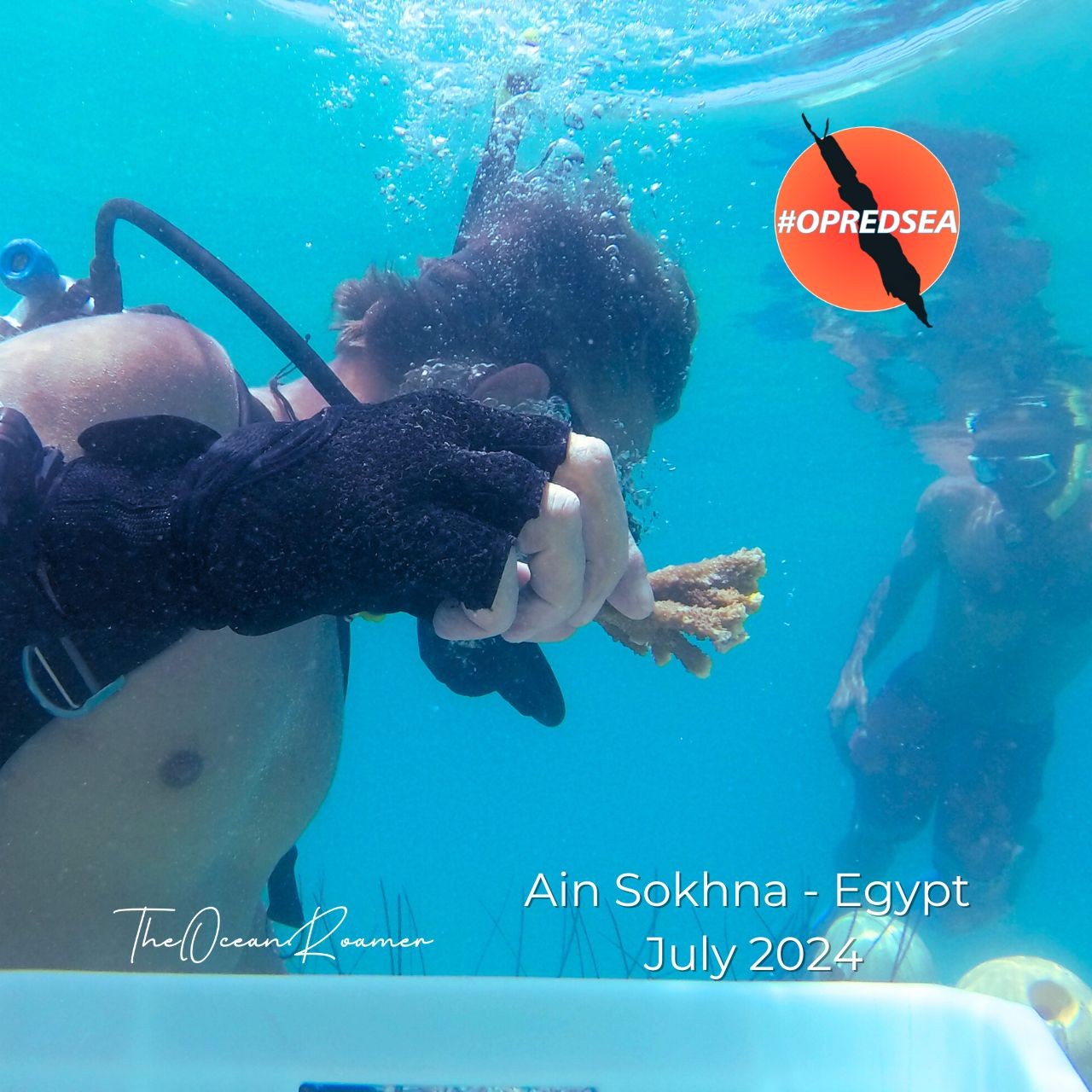 I.A.D.P Volunteers installing coral nurseries