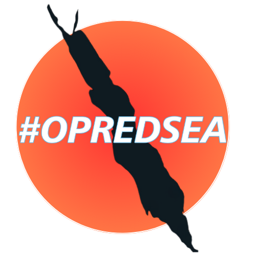 Operation Red Sea logo
